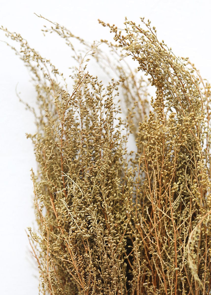 Natural Solidago Goldenrod Dried Flowers - 12-20"