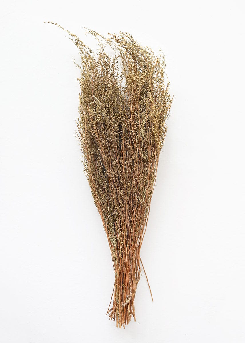 Natural Solidago Goldenrod Dried Flowers - 12-20"