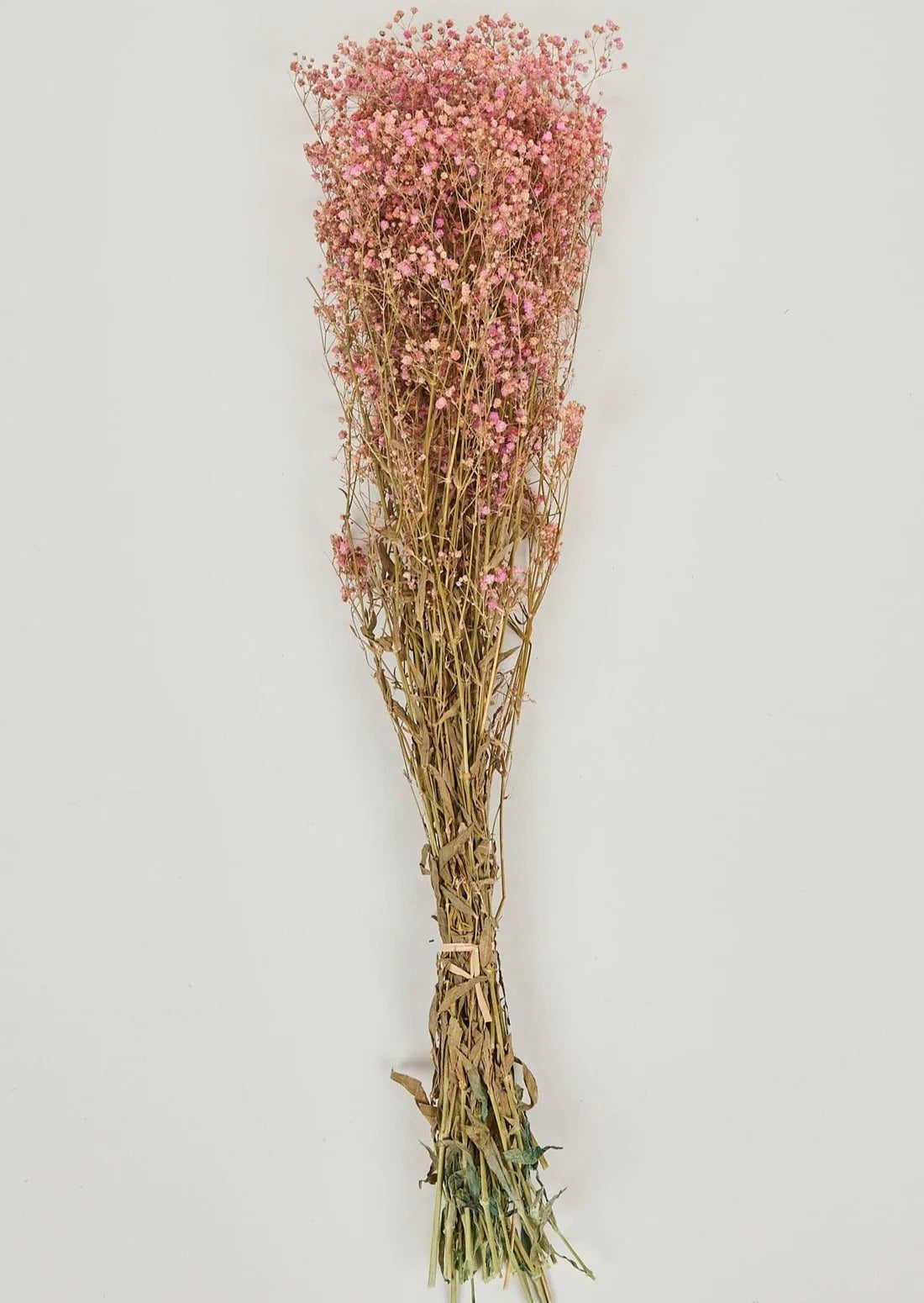 Pink Preserved Gypsophila Flower Bundle - 23-28.5"