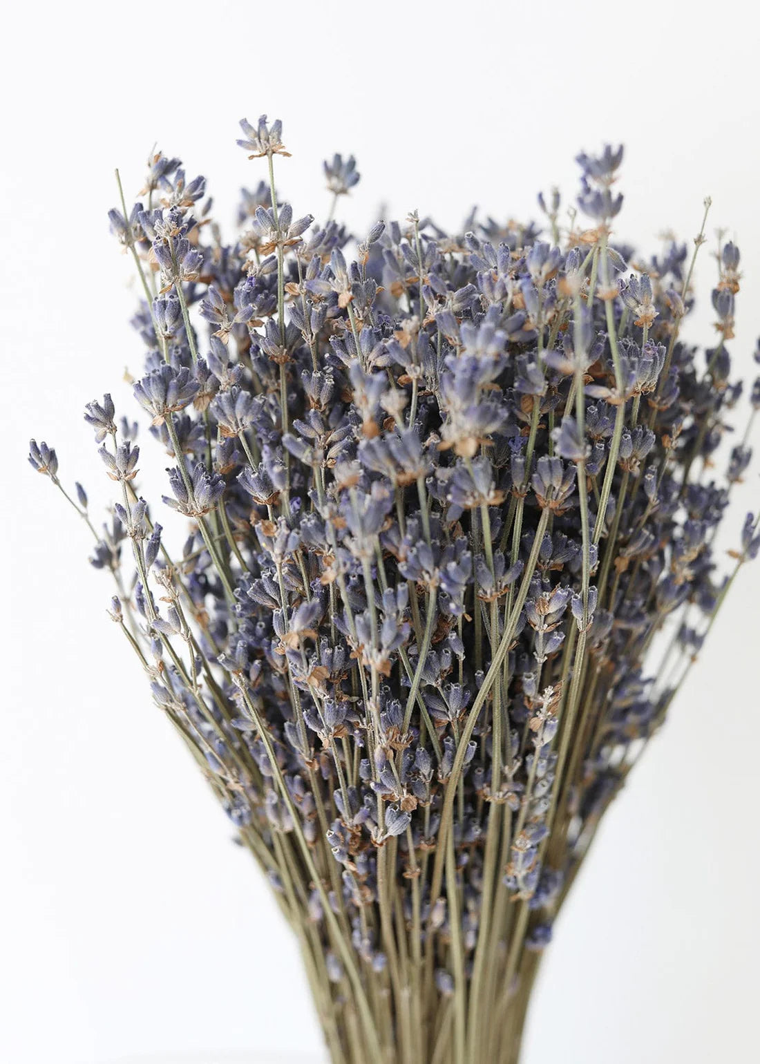 Natural Fragrant Dried Lavender Bundle