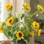 1 carlaypage sunflowers
