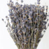 Natural Fragrant Dried Lavender Bundle - Image 3