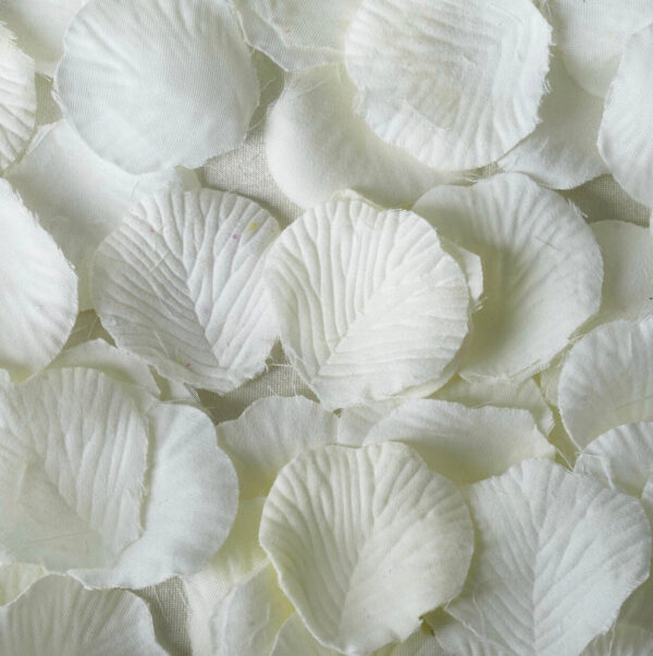 5,000 Ivory Flower Petals Ceremony Decorations Floral Aisle Wedding Event Romantic Cream Silk Rose Petals Table Scatter Confetti Wholesale