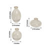 Set of 3 Clear Glass Bud Vases With Metallic Gold Rim, Modern Flower Vases – Assorted Sizes