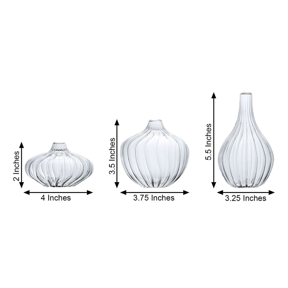 Set of 3 Clear Ribbed Design Glass Flower Bud Vases – Assorted Sizes